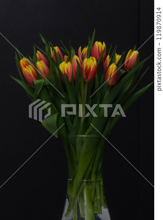 Bright bouquet of red tulips on a black background 119870914