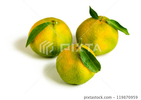 Tangerine orange fruit with green leaves isolated on white background Tangerine orange fruit with green leaves isolated on white background 119870959