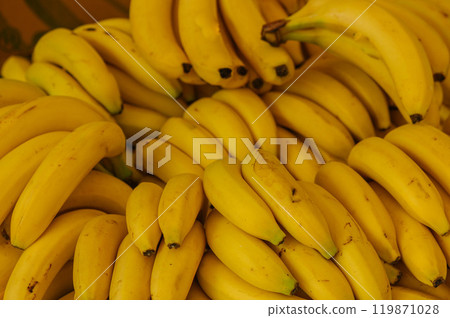 harvest of ripe yellow bananas on the market 119871028