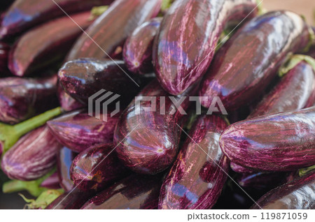 Fresh eggplant in the store. Beautiful purple striped eggplant close-up. 119871059