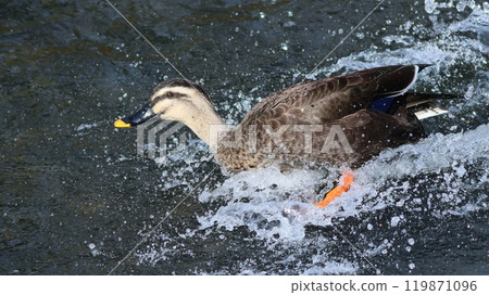 CALCAMO's landing 119871096