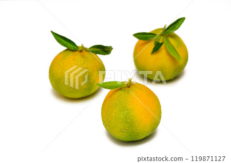 Three yellow-green mandarins stacked in a pyramid shape isolated on a white background. 119871127
