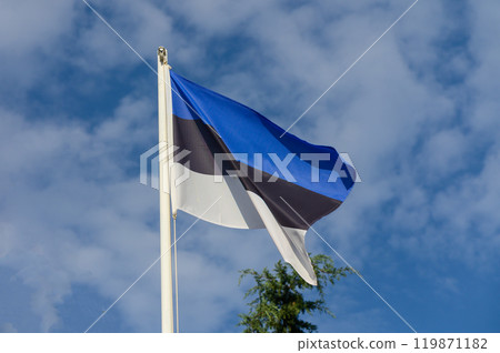A vibrant Estonian flag waving gracefully against a backdrop of bright blue skies and fluffy clouds 119871182