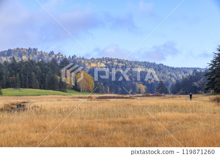 Autumn in Oze: Autumn leaves in the grass and forests, Oze Lake Visitor Center to Numajiri 119871260