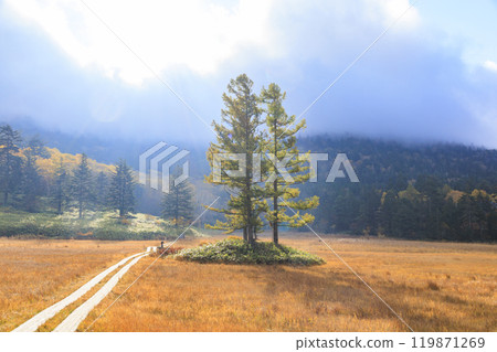 Autumn in Oze: Autumn leaves in the grass and forests, Oze Lake Visitor Center to Numajiri Autumn in Oze: Autumn leaves in the grass and forests, Oze Lake Visitor Center to Numajiri 119871269
