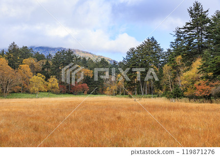 Autumn in Oze: Autumn leaves in the grass and forests, Oze Lake Visitor Center to Numajiri 119871276