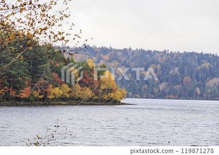 Autumn in Oze: Autumn leaves in the grass and forests, Oze Lake Visitor Center to Numajiri Autumn in Oze: Autumn leaves in the grass and forests, Oze Lake Visitor Center to Numajiri 119871278