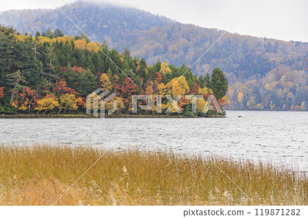 秋天的尾瀨,草地上的秋葉和森林裡的秋葉,尾瀨沼遊客中心 ~ 沼尻 秋天的尾瀨,草地上的秋葉和森林裡的秋葉,尾瀨沼遊客中心 ~ 沼尻 119871282