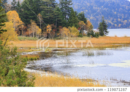 Autumn in Oze: Autumn leaves in the grass and forests, Oze Lake Visitor Center to Numajiri 119871287