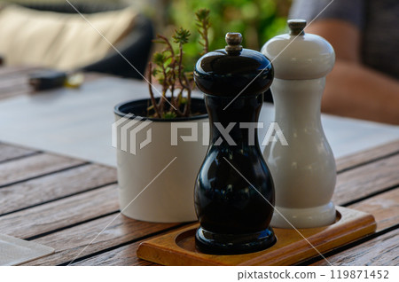 A cozy dining experience featuring contrasting salt and pepper shakers nestled on a wooden table surrounded by greenery 119871452