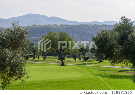 A serene golf course landscape surrounded by olive trees under a gentle sky in the early morning light A serene golf course landscape surrounded by olive trees under a gentle sky in the early morning light 119871550