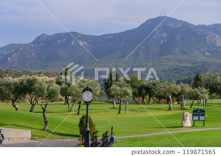 A serene morning view of a golf course surrounded by olive trees and majestic mountains in the background, capturing nature\'s tranquility 119871565