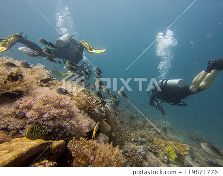 A group of divers blowing air bubbles swim past beautiful corals underwater A group of divers blowing air bubbles swim past beautiful corals underwater 119871776