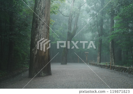 The approach to Ise Shrine shrouded in mist 119871823
