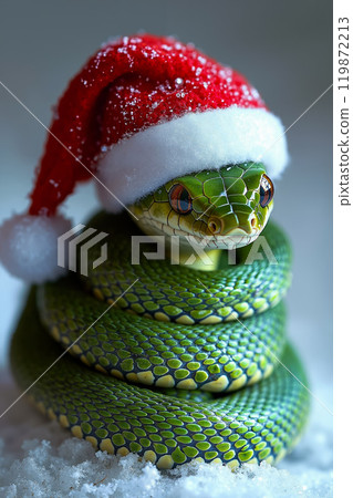 A green snake wearing a santa hat in the snow 119872213