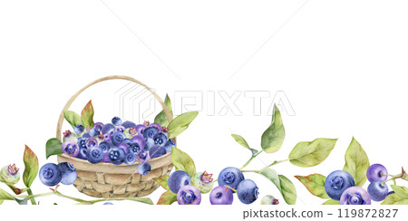 Blueberry blackberry in a weaved basket, hand drawn in watercolor, summer ripe forest berry harvest. Seamless banner illustration, for restaurant, cafe menu, sweet dessert, vegan food, farmers market 119872827