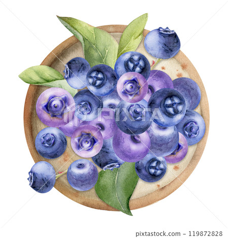 Blueberry blackberry heap on ceramic plate, green leaves, hand drawn in watercolor, ripe purple forest berry. Isolated illustration, for restaurant, dessert cafe menu, wedding, farmers market harvest Blueberry blackberry heap on ceramic plate, green leaves, hand drawn in watercolor, ripe purple forest berry. Isolated illustration, for restaurant, dessert cafe menu, wedding, farmers market harvest 119872828