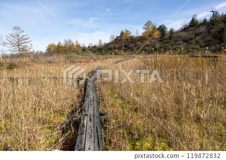 Late autumn in Kusatsu, Gunma Prefecture: The withered landscape around Bugudatsu-no-ike pond 119872832