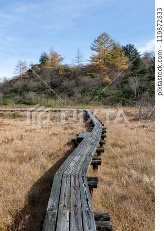 Late autumn in Kusatsu, Gunma Prefecture: The withered landscape around Bugudatsu-no-ike pond 119872833