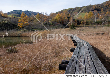 Late autumn in Kusatsu, Gunma Prefecture: The withered landscape around Bugudatsu-no-ike pond 119872834