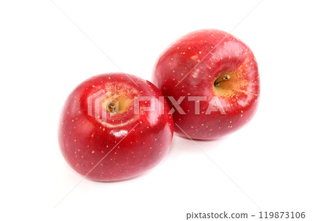 Apple (Koi Fuji) 119873106