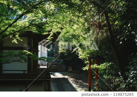 Scenery of Hoshoji Temple, Kyoto 119873265