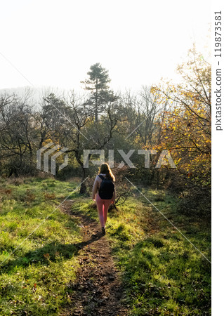 Seasonal natural scene, Tribec mountain range, Slovakia Seasonal natural scene, Tribec mountain range, Slovakia 119873581