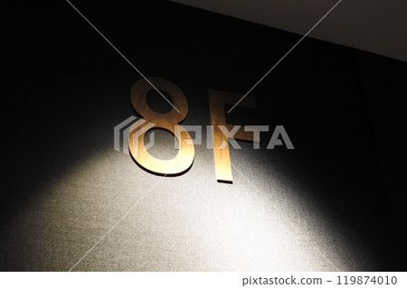 8F 照明 119874010