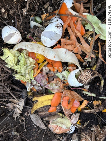 Food waste Food 17 119874246