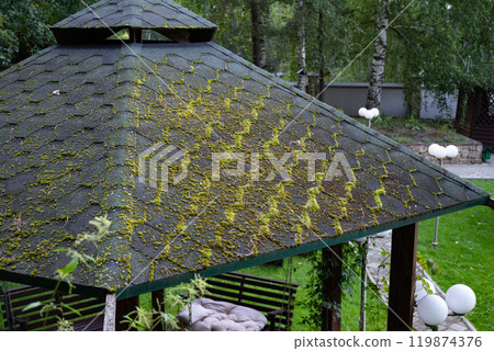 Moss-covered roof of gazebo in lush garden. 119874376