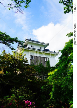 福井縣小野市越前大野城 福井縣小野市越前大野城 119874636