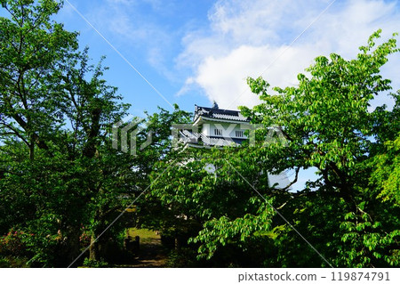 福井縣小野市越前大野城 119874791