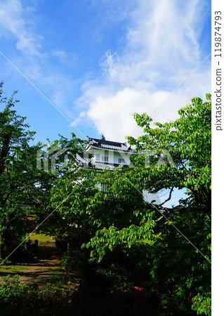 Echizen Ono Castle, Ono City, Fukui Prefecture 119874793