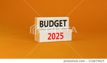 Planning budget 2025 new year symbol. Concept words Budget 2025 on beautiful wooden blocks. Beautiful orange background. Business budget 2025 new year concept. Copy space. Planning budget 2025 new year symbol. Concept words Budget 2025 on beautiful wooden blocks. Beautiful orange background. Business budget 2025 new year concept. Copy space. 119874825