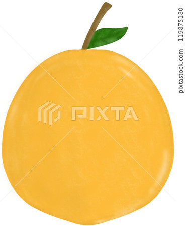 yellow pear with leaf yellow pear with leaf 119875180