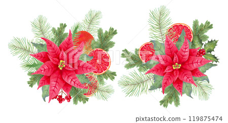 Poinsettia flower with holly berries and pine branches, orange slices for 2025 New Year. Botanical illustration with watercolor. Hand drawn isolated art. Festival composition for Christmas design. 119875474