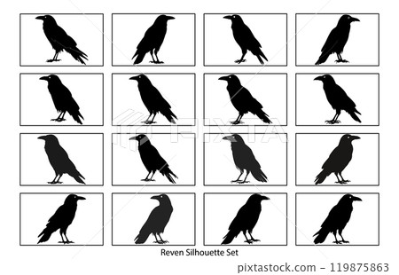 Silhouette of Raven flying on white background, Crow raven bird illustration 119875863