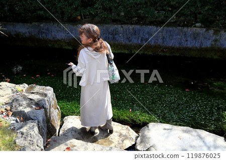 Plum blossoms of Jizo River 2 (Samegai, Maibara City, Shiga Prefecture) 119876025