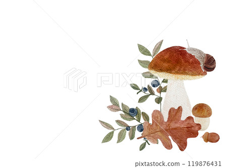 Porcini wild mushroom with a snail oak leaf watercolor horizontal card isolated on white. Hand drawn art with wild edible plant in simple flat style for woodland kids designs, cards, food packages Porcini wild mushroom with a snail oak leaf watercolor horizontal card isolated on white. Hand drawn art with wild edible plant in simple flat style for woodland kids designs, cards, food packages 119876431