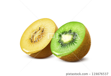 獼猴桃金獼猴桃插畫寫實套裝 119876537