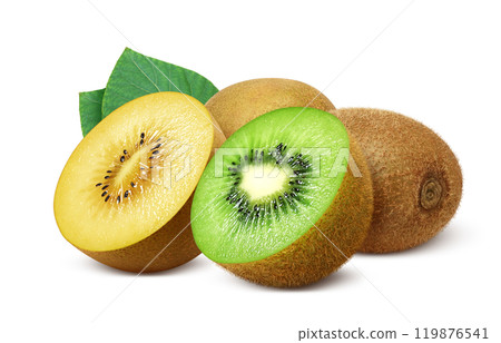 獼猴桃金獼猴桃插畫寫實套裝 119876541