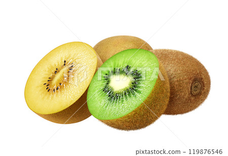 獼猴桃金獼猴桃插畫寫實套裝 119876546