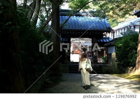 Walking around Seiganji Temple, Mount Kyuko-san 19 (Maibara City, Shiga Prefecture) Walking around Seiganji Temple, Mount Kyuko-san 19 (Maibara City, Shiga Prefecture) 119876992