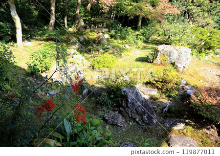 Walking around Seiganji Temple, Mount Kyuko-san 29 (Maibara City, Shiga Prefecture) Walking around Seiganji Temple, Mount Kyuko-san 29 (Maibara City, Shiga Prefecture) 119877011