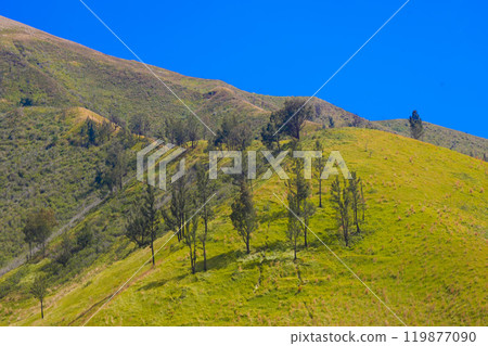 A picturesque view of rdotted with scattered trees. The sky is a brilliant blue. 119877090