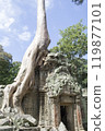 Ta Prohm Ruins 119877101