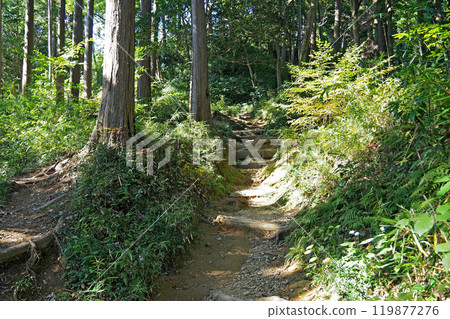 八王子城遺址 通往主圍牆的攀登路線[東京都八王子市] 119877276