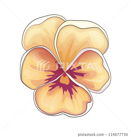 Realistic vector flowers petals buds bouquets. Anemones, peonies, pansies, magnolia Realistic vector flowers petals buds bouquets. Anemones, peonies, pansies, magnolia 119877730