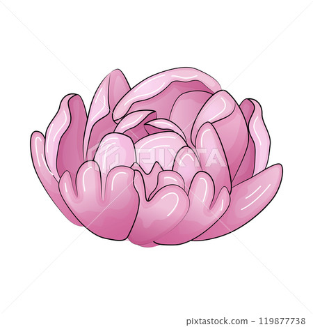 Realistic vector flowers petals buds bouquets. Anemones, peonies, pansies, magnolia 119877738