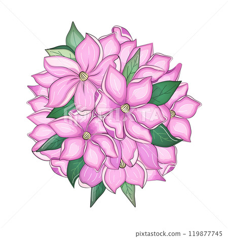 Realistic vector flowers petals buds bouquets. Anemones, peonies, pansies, magnolia 119877745